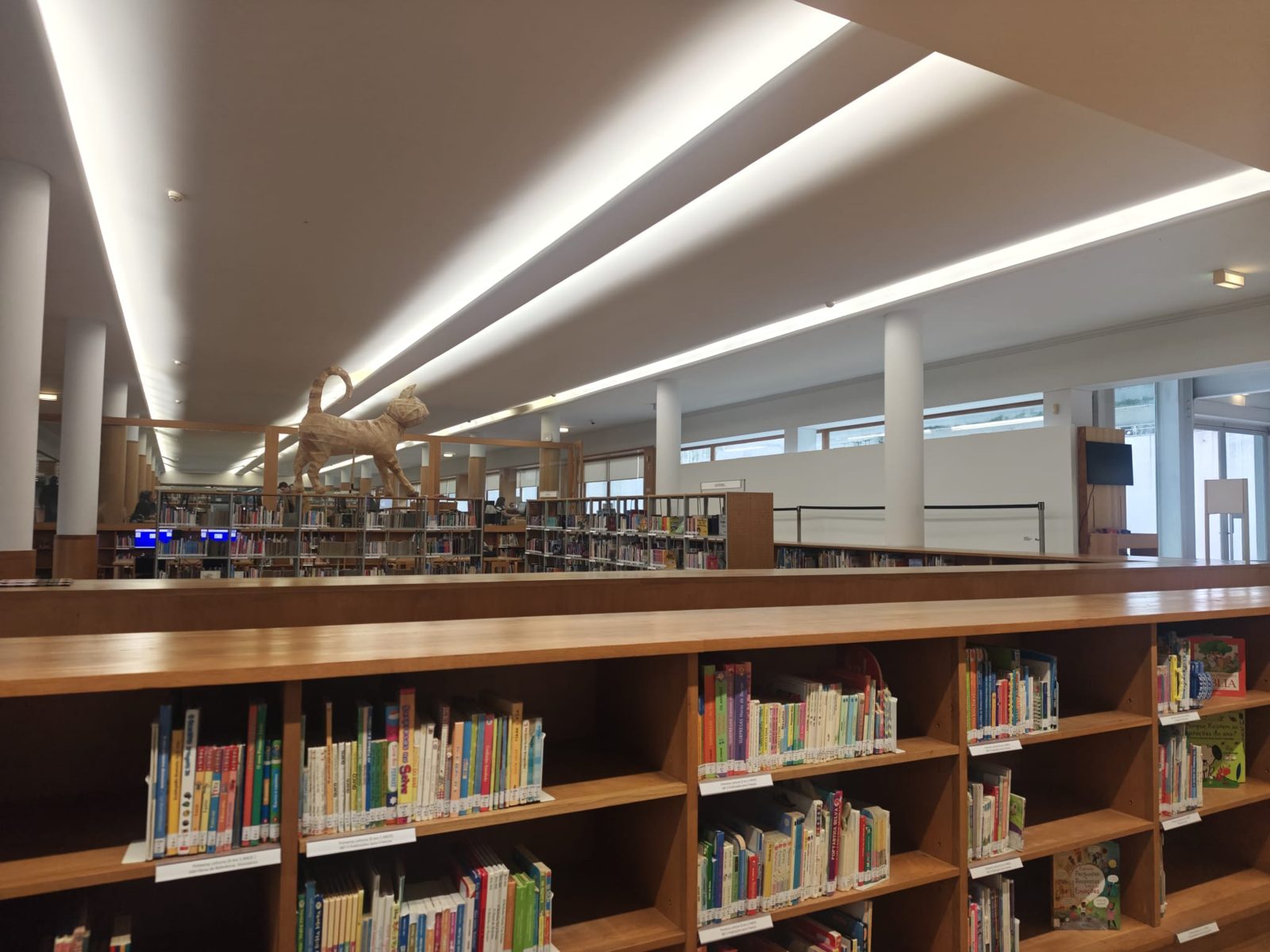 Estantes da Biblioteca Almeida Garrett, no Palácio de Cristal